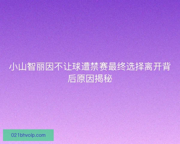 小山智丽因不让球遭禁赛最终选择离开背后原因揭秘