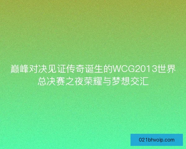 巅峰对决见证传奇诞生的WCG2013世界总决赛之夜荣耀与梦想交汇