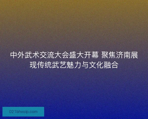 中外武术交流大会盛大开幕 聚焦济南展现传统武艺魅力与文化融合